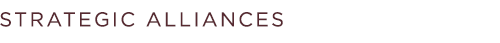 Strategic Alliances